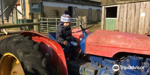 Water Fowl Sanctuary and Children's Farm