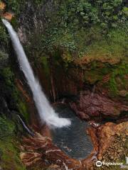 Catarata Del Toro Adventures