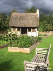 The Kitchen Garden Ty Mawr