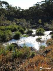 Kings Plains National Park