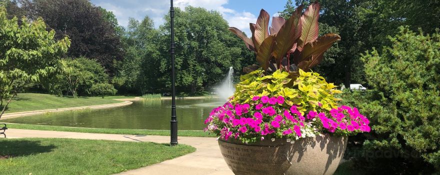 Wilcox Park