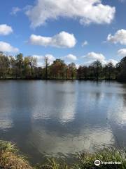 Arboretum de Versailles-Chevreloup