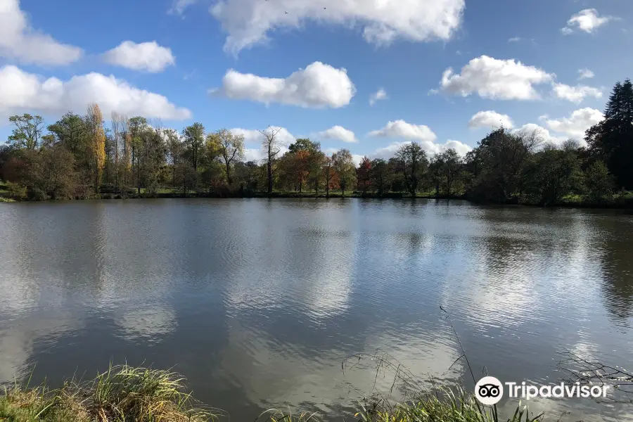 Arboretum de Versailles-Chevreloup