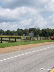 Natchez Trace Parkway