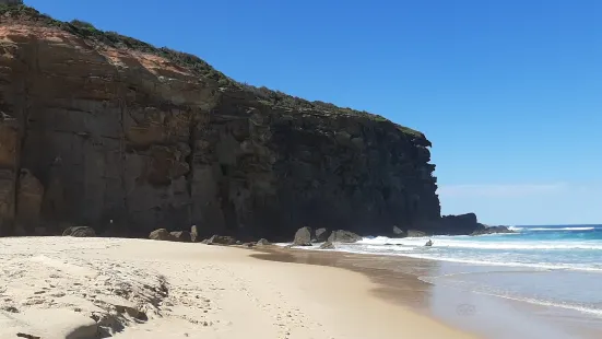 Redhead Beach