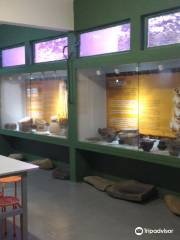 Museu Arqueologico de Sambaqui