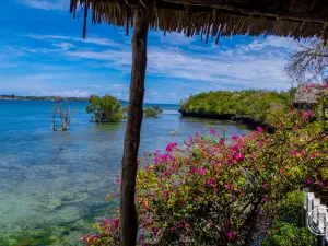 Diani Dhow Safari