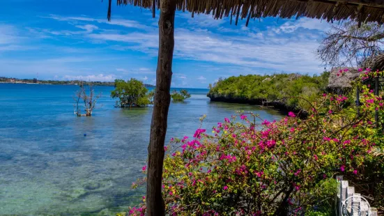 Diani Dhow Safari