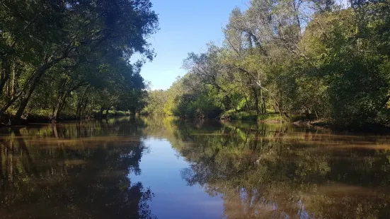 Bayou Teche Experience