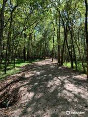 McMullen Creek Greenway