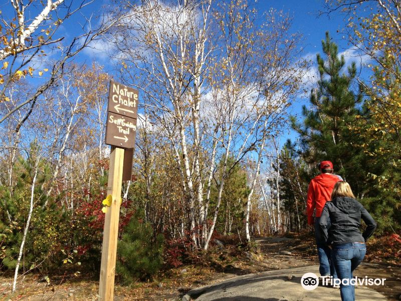 Sault Ste. Marie to Sudbury Flights