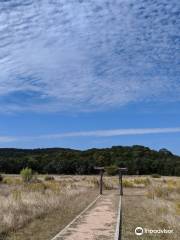 Senator Frank L. Madla Natural Area