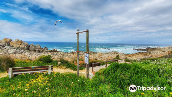 Kleinmond Beach