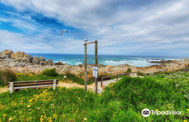 Kleinmond Beach