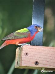 Felts Audubon Preserve