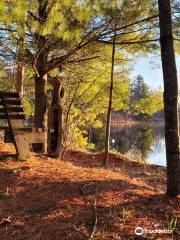 Savanna Portage State Park