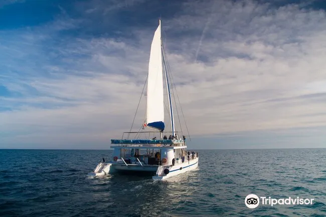 4_AMC CAPE GRACE SAINT-RAPHAEL