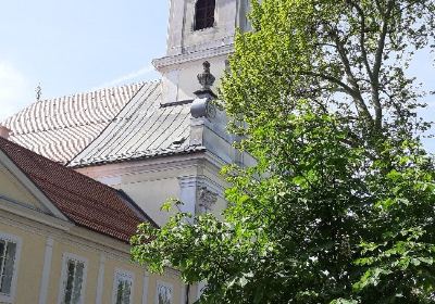 Bjelovar Cathedral