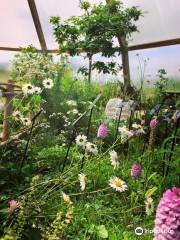 Burren Nature Sanctuary Cafe