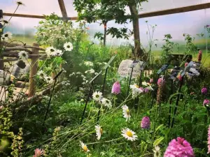 Burren Nature Sanctuary Cafe