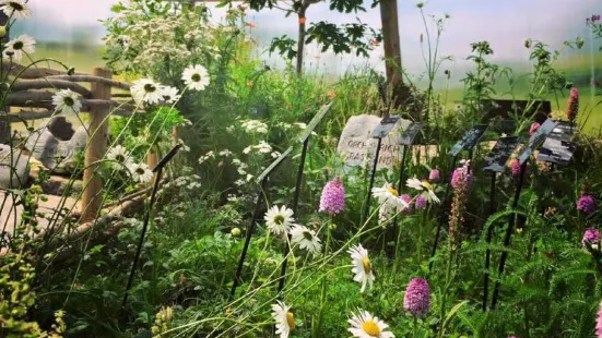 Burren Nature Sanctuary