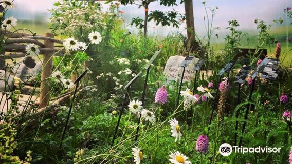 Burren Nature Sanctuary & Botanical Collection