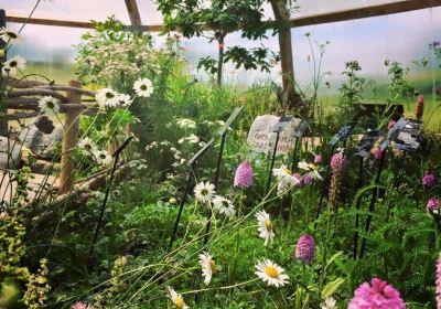 Burren Nature Sanctuary Cafe