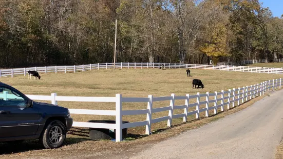 Gentle Barn