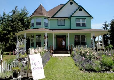 Martha Lane Lavender Farm