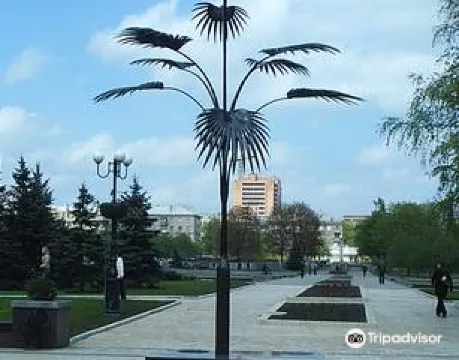 梅紮沙洛夫鐵棕櫚