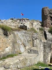 Burg und Festung Regenstein