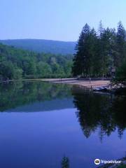 Greenwood Furnace State Park