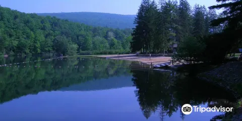 Greenwood Furnace State Park
