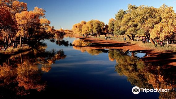 Ejin Banner Commercial Pedestrian Street