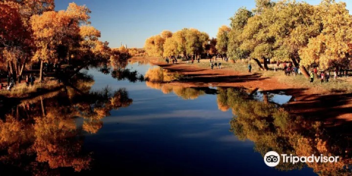 金胡楊國際風情商業街