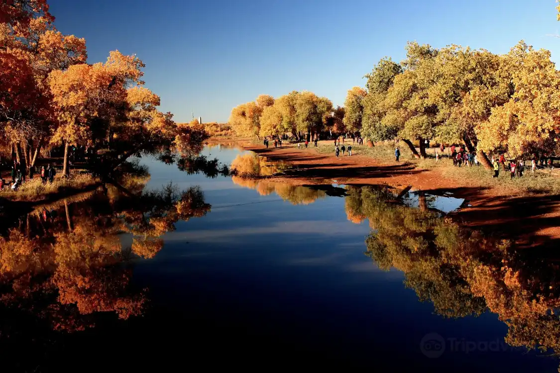 Hotels near Ejin Banner Commercial Pedestrian Street