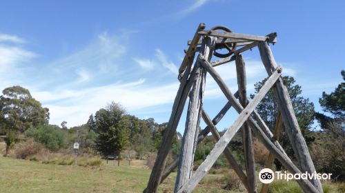 Bald Hill walking track