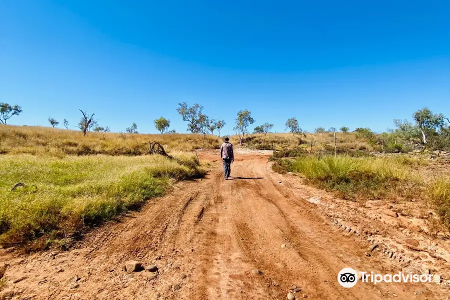 Ngurin Bush Tucker Trail