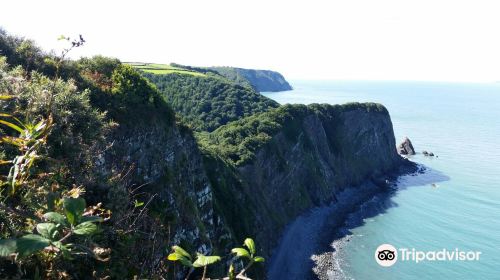 A South West Coast Path - Clovelly & Mouth Mill