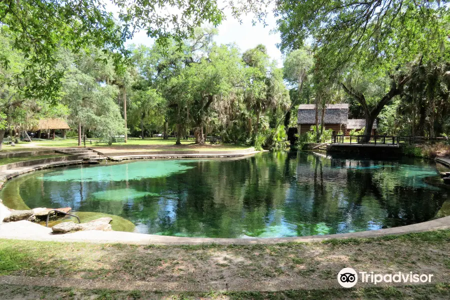 Juniper Springs