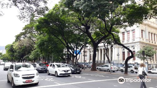 Avenida Afonso Pena