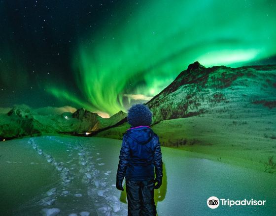 芬斯內斯 自由行套票