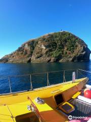 Blue Azores