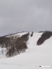 Pippu Ski Area