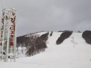 ぴっぷスキー場