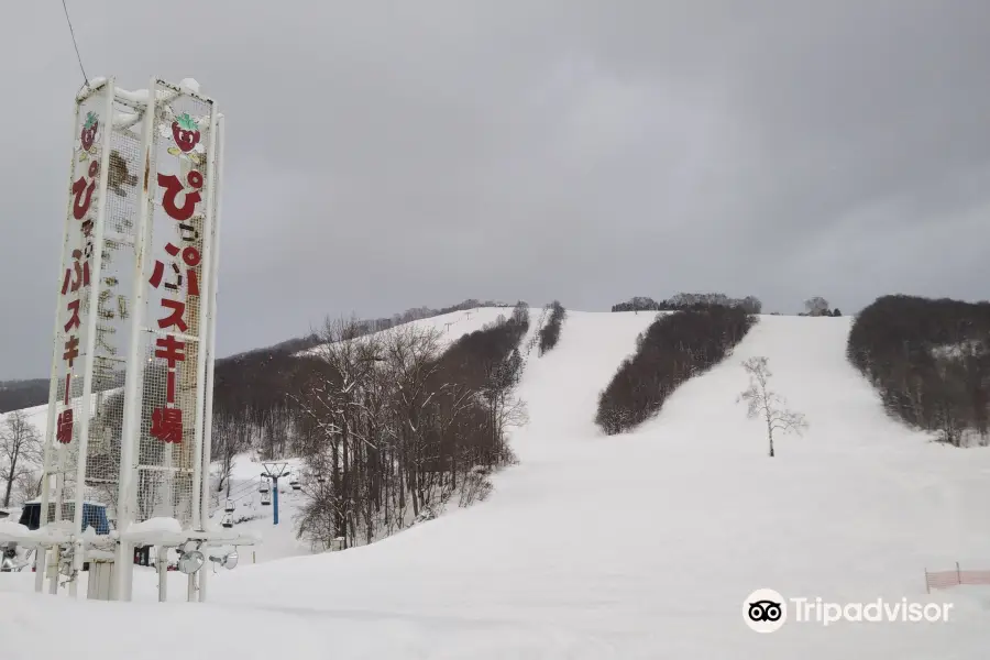 Pippu Ski Area