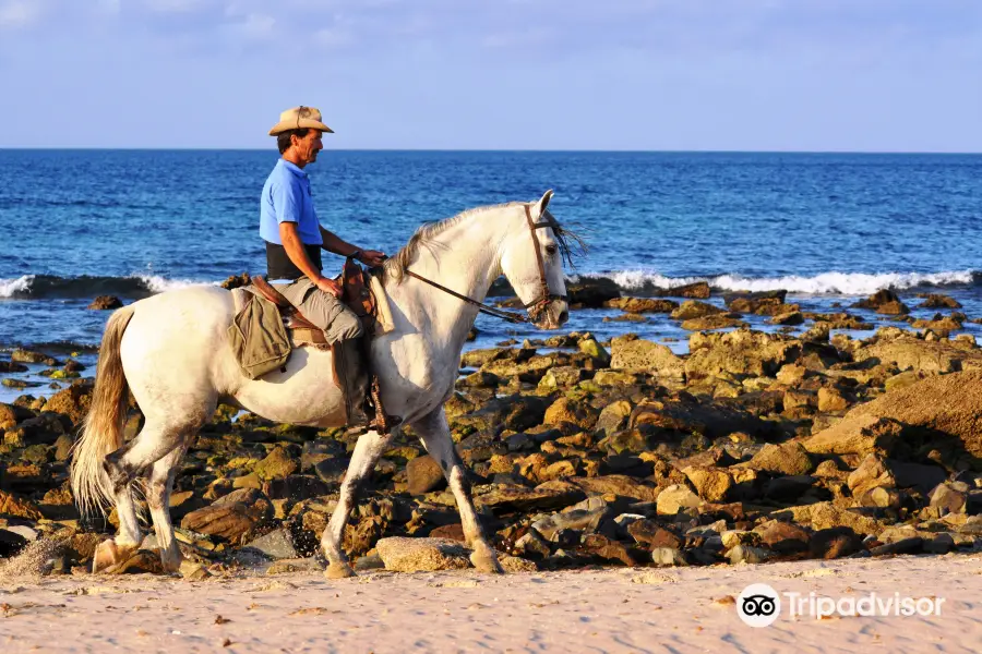 AVENTURAS DEL SUR - Equestrian Tarifa