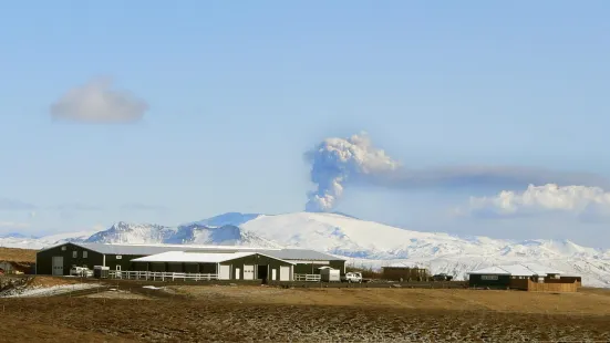 Icelandic HorseWorld