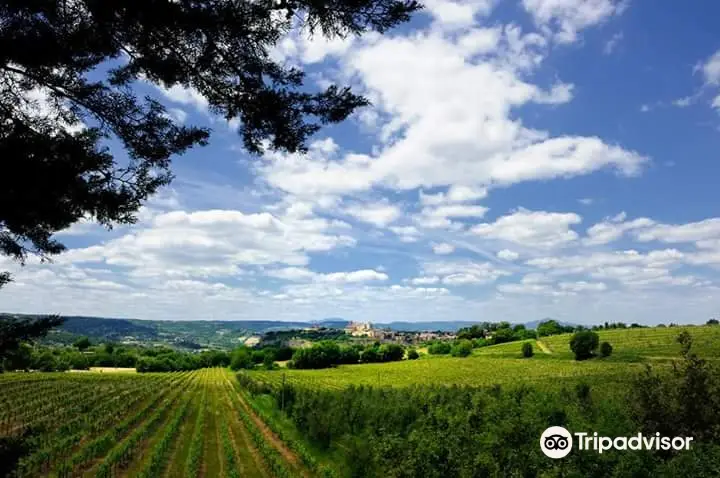 Tenuta Le Velette