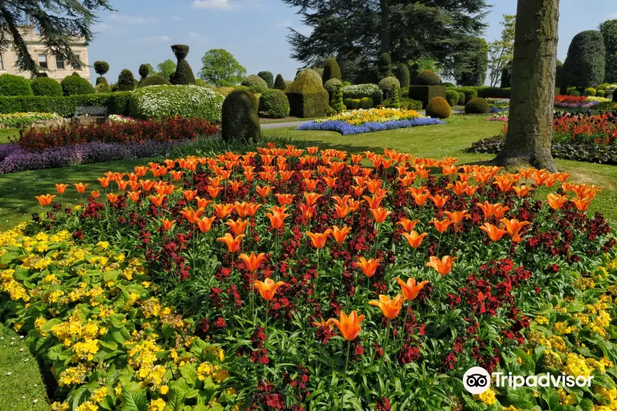 Brodsworth Hall and Gardens